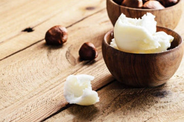 Shea Yağı (Shea Butter) Nedir, Faydaları Nelerdir?