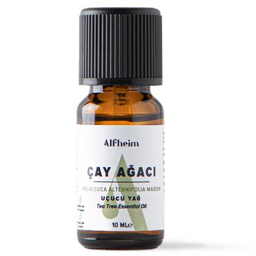 Çayağacı Uçucu Yağı
